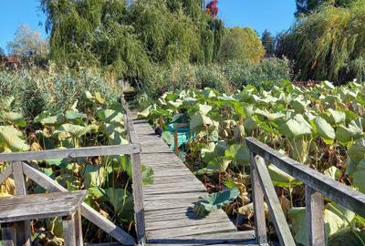 Casă cu 4 camere cu Teren 600 Mp în Snagov - 1