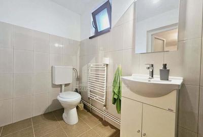 Casa individuala de vanzare, Cetate - 18