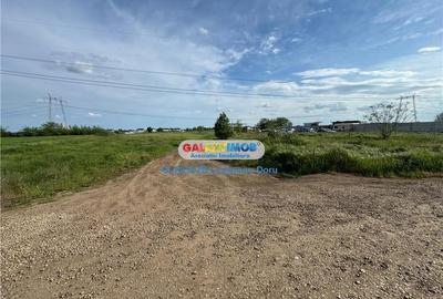 Teren intravilan 1622mp, Lidl Berceni, Utilitati Gaz Electric, 50E mp Teren intravilan 1622mp, Lidl Berceni, Utilitati Gaz Electric, 50E mp - 2