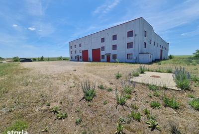 Spațiu comercial, de 40,000 mp, în Șagu - 9