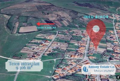 Teren de 9306 mp, în Ineu - 3