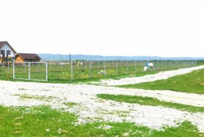 Teren de 8000 mp, în Central - 3