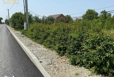 Teren de 2500 mp, în Petru Rareș - 3