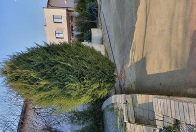 Casă cu 2 camere în 1 Mai - 6