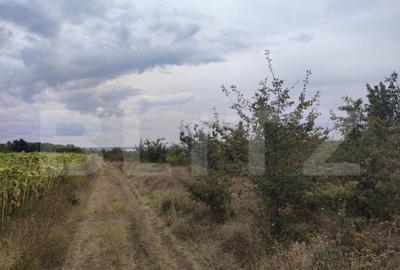 Teren de 9000 mp, în Central - 6