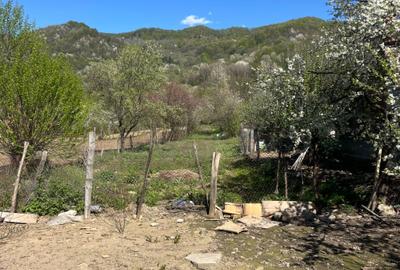 Casă cu 4 camere în Corbeni