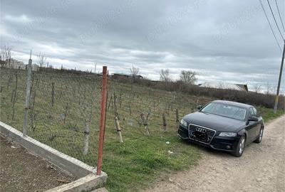 Teren de 1850 mp, în Pechea - 3