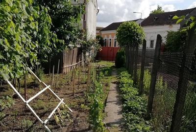 Casă cu 2 camere în Dej - 3