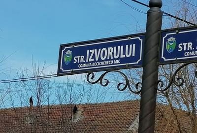 Teren Construcții intravilan de 3103 mp, în Becicherecu Mic - 4