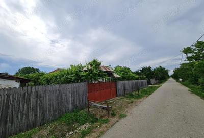 Proprietar vand casa 4 camere, canalizare, apa re?ea, Hotarani - 4 km de Vanju Mare - 3