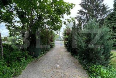 Casă cu 5 camere cu Teren 3000 Mp în Botizului - 1