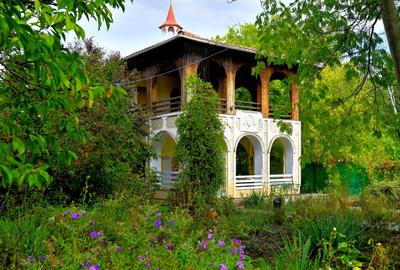 Vanzare vila 6 camere 264mp + garaj + garsoniera separata + 1490mp Centru Snagov - 4