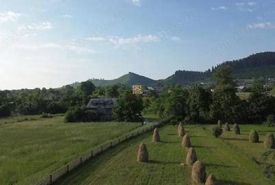 Teren de 10304 mp, în Slatina - 10