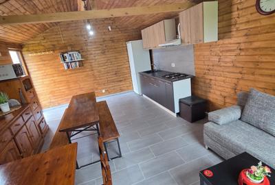 Pensiune 3 stele - Schitu-Costinesti - 215.000 euro (Cod E2) - 6