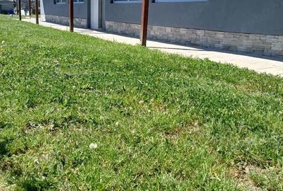 Casă cu 2 camere cu Teren 3023 Mp în Gepiu