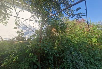 Cornetu stradal, vanzare teren intravilan 1.600mp Cornetu stradal, vanzare teren intravilan 1.600mp - 11