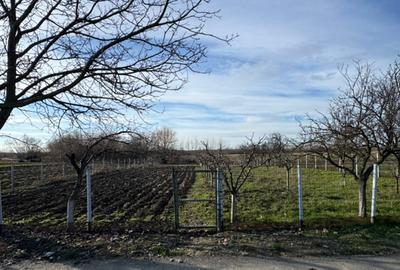 Teren Intravilan 1300mp - 1