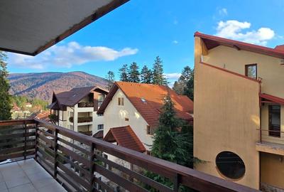 Studio de lux  Sinaia Furnica - 9