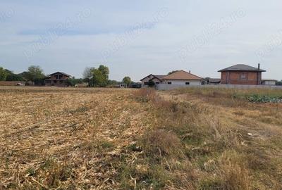 Teren de 4000 mp, în Măgurele - 3