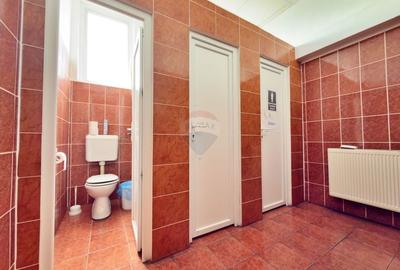 Spațiu industrial, de 6,132 mp, în Aradul Nou - 17