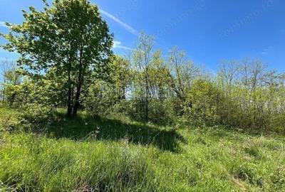 Teren de 5300 mp, în Lugoj - 1