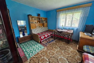 Casă cu 3 camere cu Teren 1500 Mp în Capu Piscului (Godeni) - 8