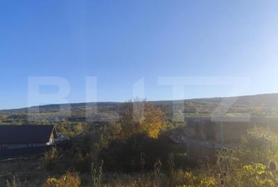 Teren intravilan 1700 mp, la asfalt, in Goruni-Tomesti - 2