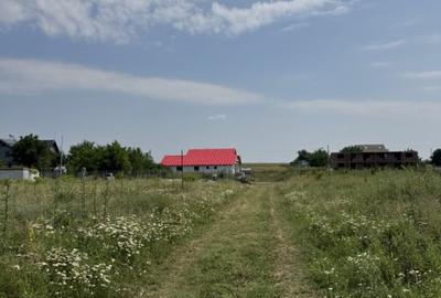 Domnesti - Strada Salciei - Teren intravilan 500 mp x 2 loturi - 6