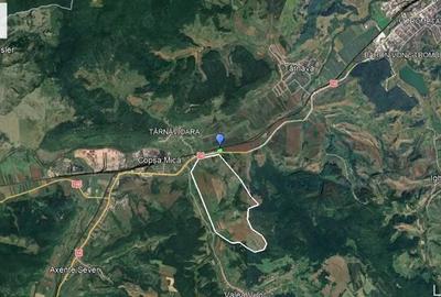 Teren de 10000 mp, în Central - 1