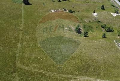 Teren agricol intravilan de 5561 mp, în Păltinoasa - 19