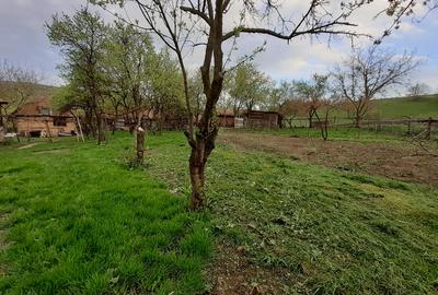 Casa de vanzare Barai, Cluj - 4