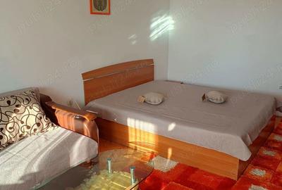 Inchiriez apartament cu 1 camera ultracentral - 3