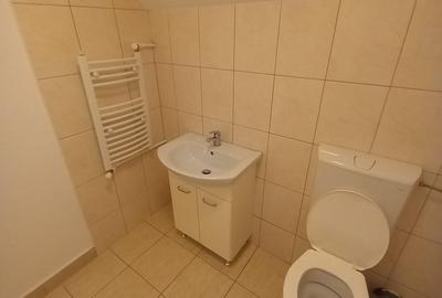 CASA CU TEREN GENEROS IN GRUIU - 24