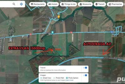 Teren de 15500 mp, în Belciugatele - 4