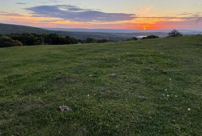 Spațiu comercial, în Pietrăria - 2