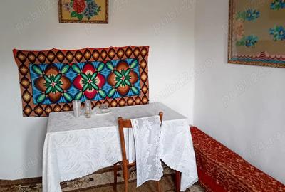 Casa batraneasca de vanzare - 6