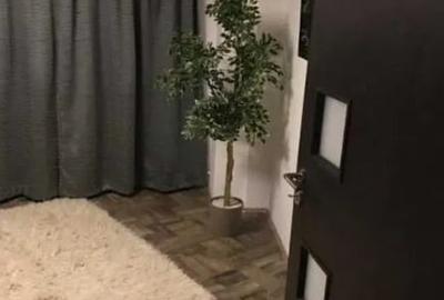 Apartament cu 2 camere semidecomandat, mobilat în P-ța Alba Iulia - 7