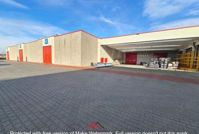 Hale noi in Baicoi, Ph--13.000mp--3e - 19