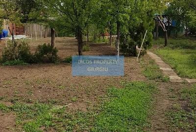 Teren 2.600 mp, utilități, Str. Merișor – Giurgiu - 7