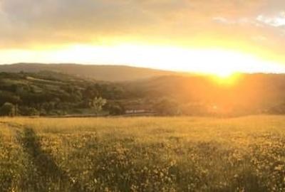 Teren de 879 mp, în Armeniș - 3