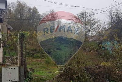Teren Construcții intravilan în Goranu