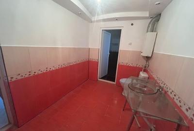 Casa P+1+M, 330 MP teren, 140 MP utili, Brestei - 14