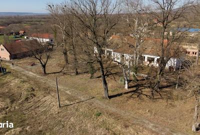 Casă cu 8 camere cu Teren 7235 Mp în Traian Vuia - 14