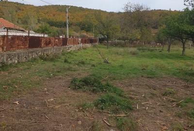 Casă cu 2 camere în Balotești - 5