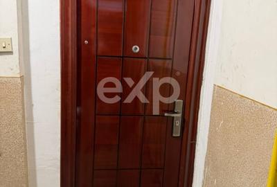 Apartament cu 3 camere decomandat, mobilat în Exercițiu - 3