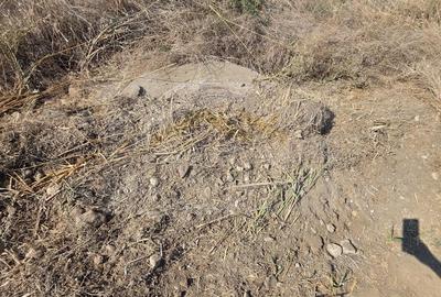 Teren de 5450 mp, în Ciorogârla - 2