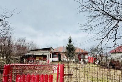 Casă cu 3 camere cu Teren 920 Mp în Central - 2