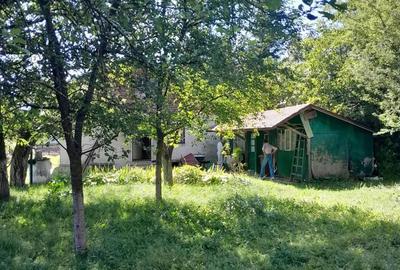 Casa Breaza central cu un mare cire? alb pentru dulcea?a! - 4