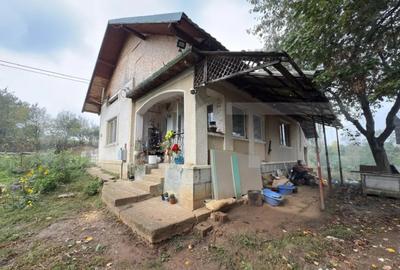 Casă cu 3 camere cu Teren 3088 Mp în Viile Satu Mare - 6