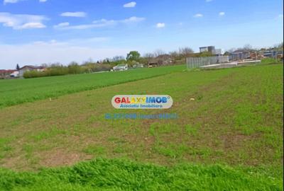 Teren TUNARI Straja Teren TUNARI Straja - 3